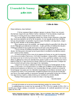 Essentiel 2025.07 compr